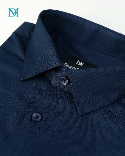 Luxury Fancy Fabrics Shirt